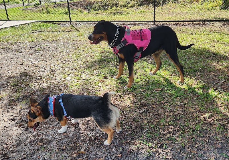 Ruff Ridge Dog Park - Plant City, FL