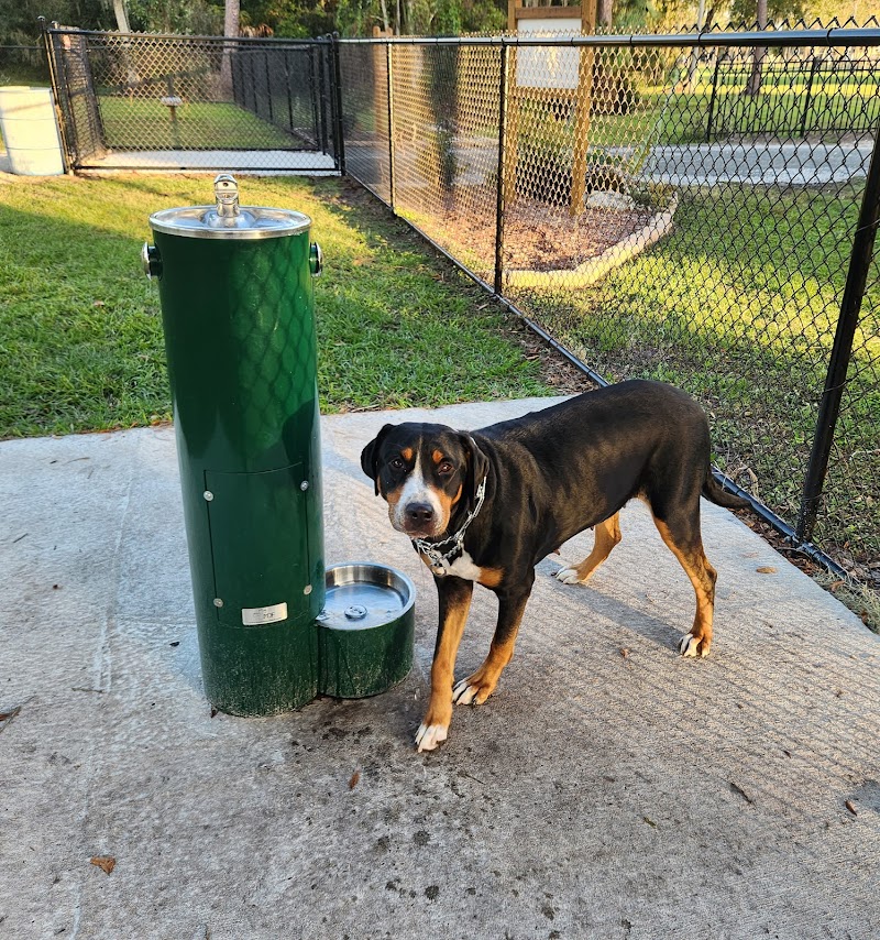 Ruff Ridge Dog Park - Plant City, FL