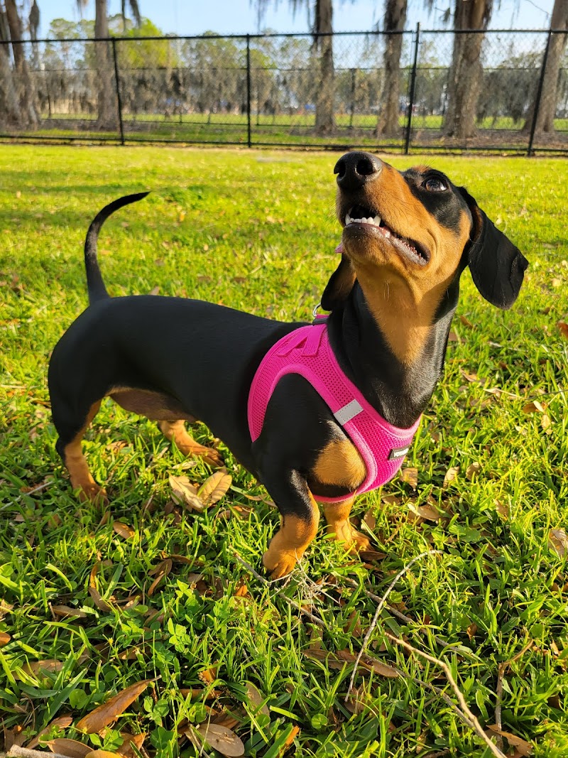 Ruff Ridge Dog Park - Plant City, FL