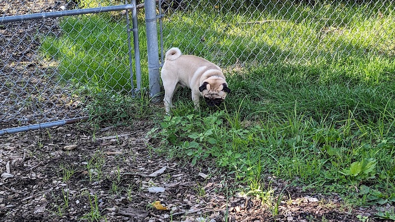 Pleasantville Dog Park - Pleasantville, NY
