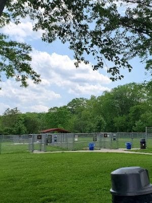 Boyce Park Dog Park 1
