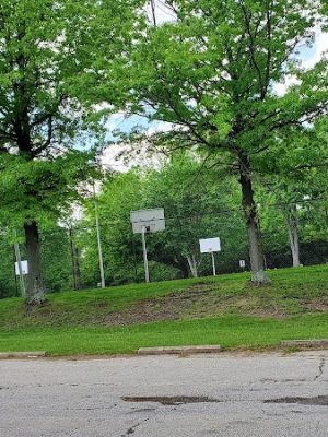 Boyce Park Dog Park 1
