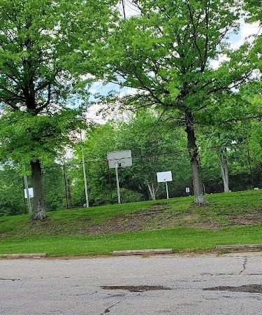 Boyce Park Dog Park 1