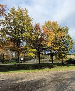 Boyce Park Dog Park 1