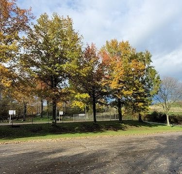Boyce Park Dog Park 1