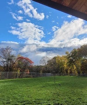 Boyce Park Dog Park 1