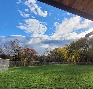 Boyce Park Dog Park 1