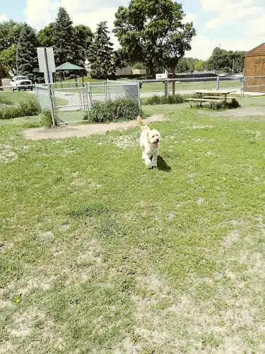 4 Paws Dog Park