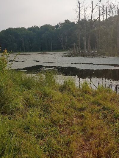 Airline Trail Parking - Pomfret Center, CT