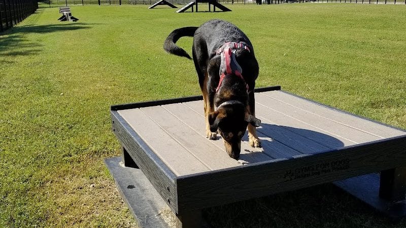 Downtown Dog Park - Poplar Bluff, MO