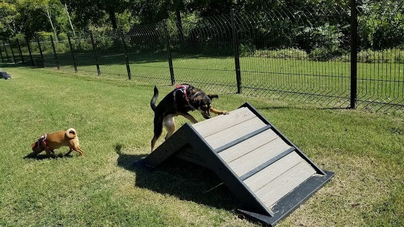 Downtown Dog Park - Poplar Bluff, MO