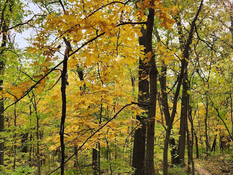 Dorrance Park - Port Byron, IL
