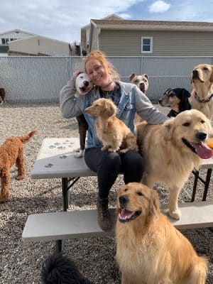 Happy Pawz Playground - Port Byron, IL