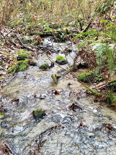 Burley Park - Port Orchard, WA