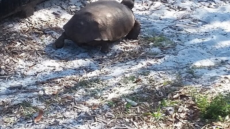 Fred Cook Park - Port St. Lucie, FL