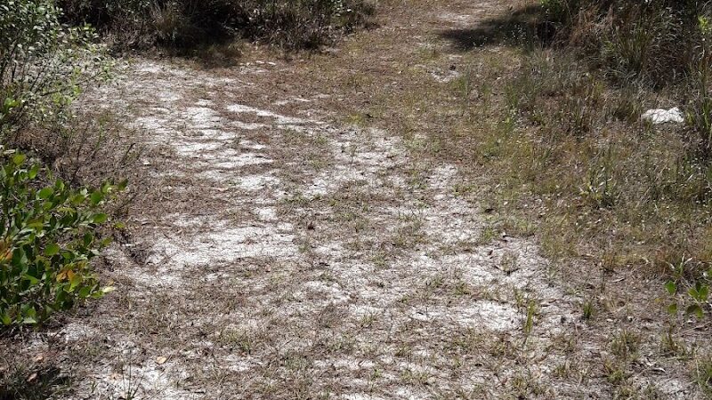 Fred Cook Park - Port St. Lucie, FL