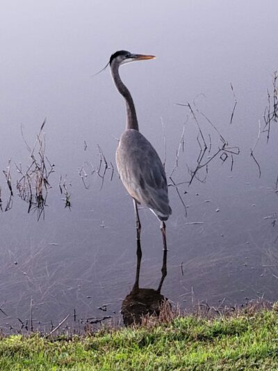 Kiwanis Park - Port St. Lucie, FL