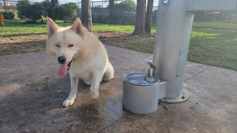 McChesney Dog Park - Port St. Lucie, FL