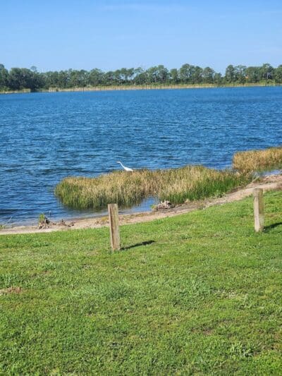 Peacock park - Port St. Lucie, FL