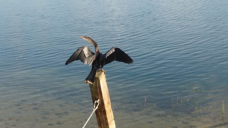 Peacock park - Port St. Lucie, FL