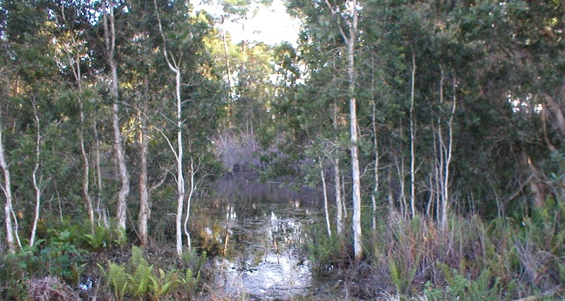 Wilderness Park - Port St. Lucie, FL