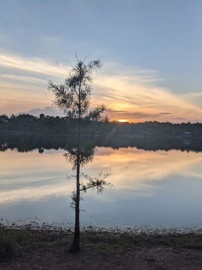 Woodstork Trail/Hillmoor Lake Park - Port St. Lucie, FL