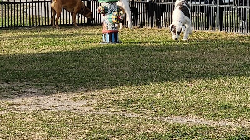 Kaiah Dog Park - Portland, TX