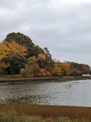 Peirce Island