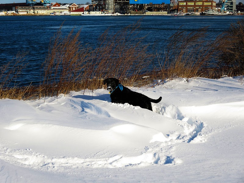 Peirce Island - Portsmouth, NH