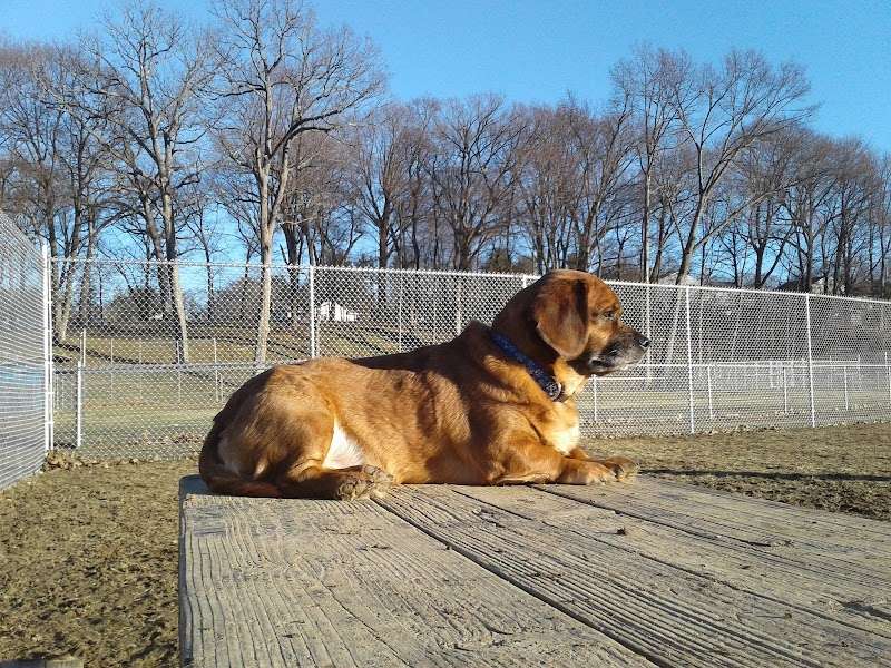 J Tracy Hermann Memorial Dog Park - Poughkeepsie, NY