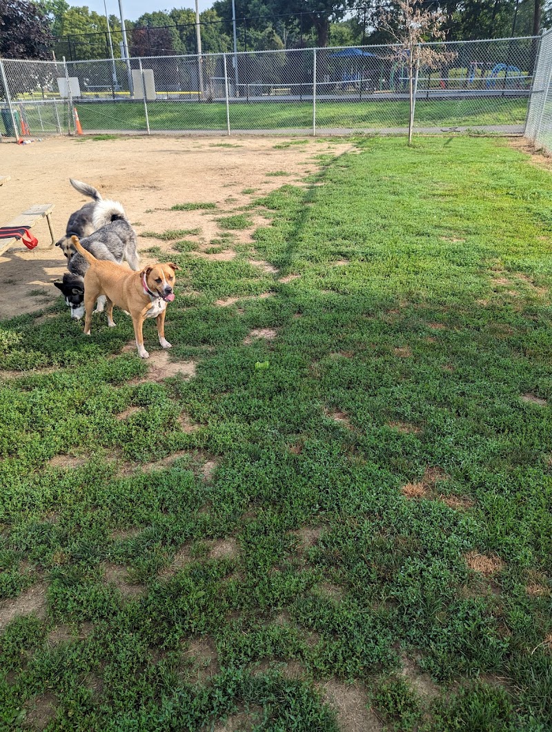 J Tracy Hermann Memorial Dog Park - Poughkeepsie, NY