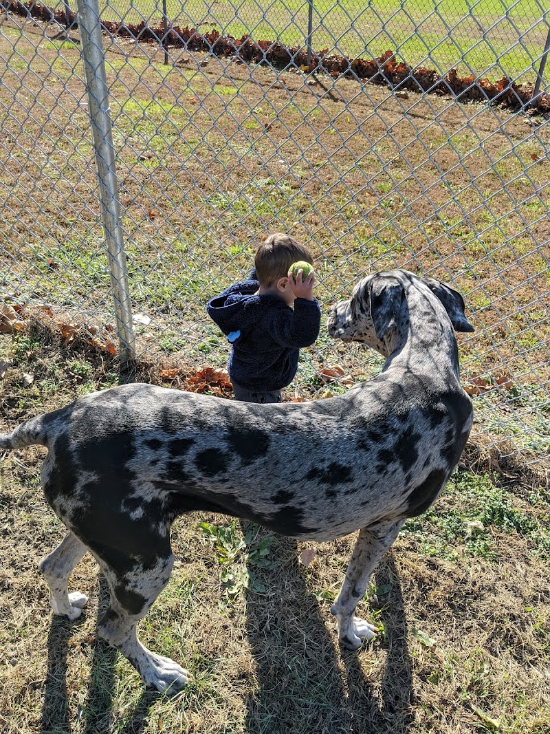 J Tracy Hermann Memorial Dog Park - Poughkeepsie, NY