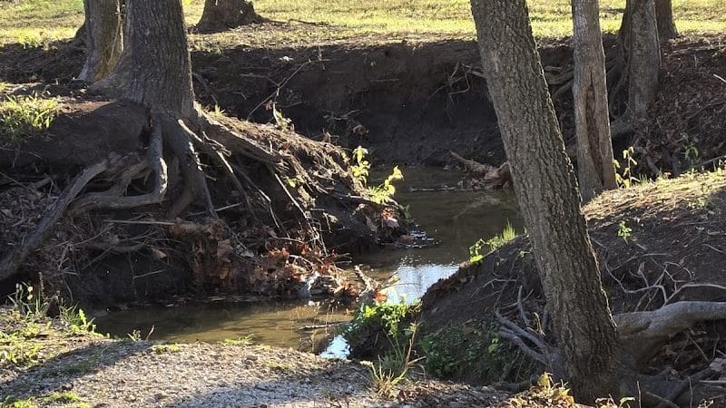 Prairie Grove Dog Park - Prairie Grove, AR