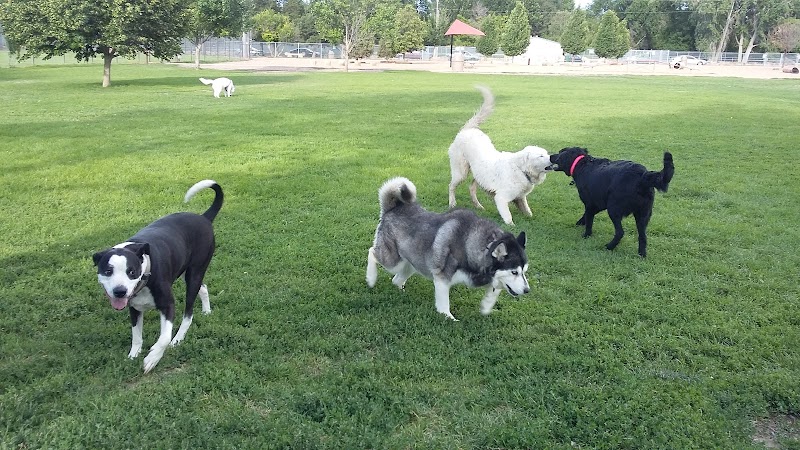 City Park Dog Park - Pueblo, CO