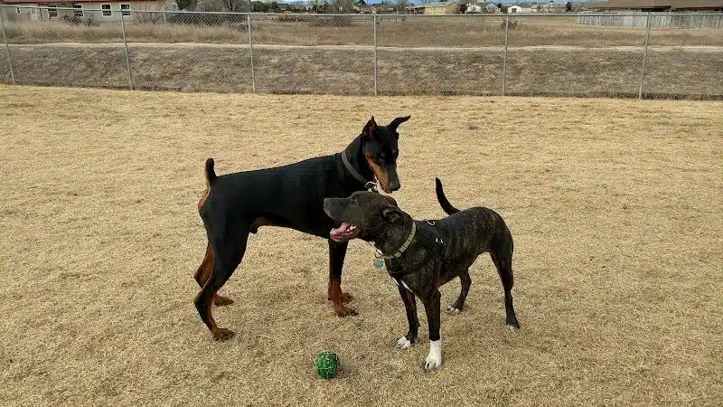Waggin’ Tails Dog Park - Pueblo, CO