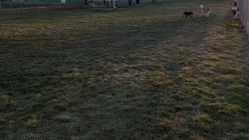 Waggin’ Tails Dog Park - Pueblo, CO