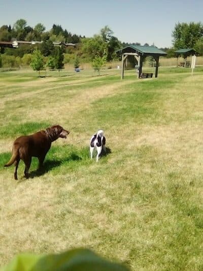 Pooch Park at Pullman - Pullman, WA