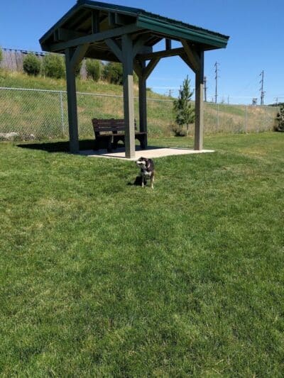 Pooch Park at Pullman - Pullman, WA