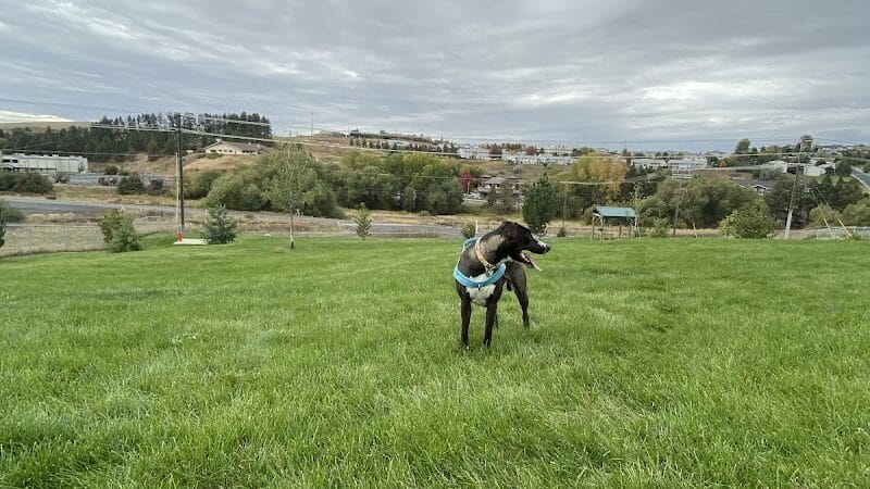 Pooch Park at Pullman - Pullman, WA