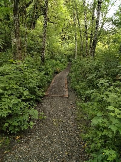 Clarks Creek Off-Leash Dog Park - Puyallup, WA