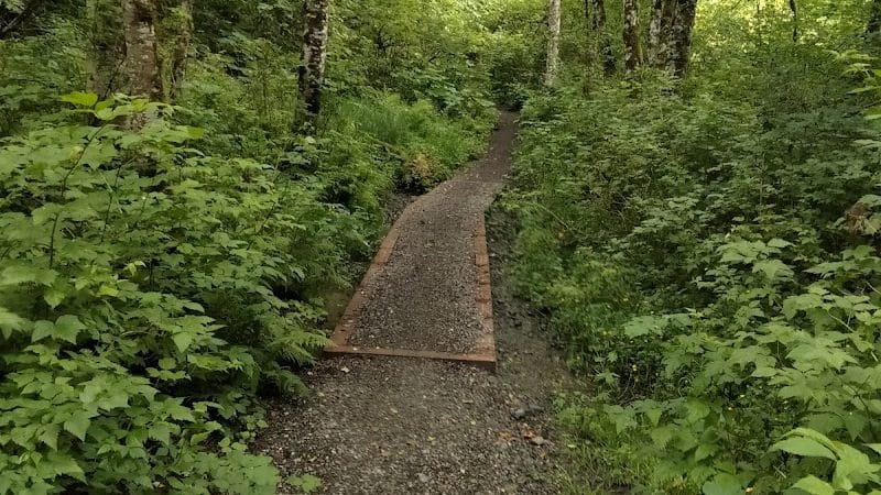 Clarks Creek Off-Leash Dog Park - Puyallup, WA