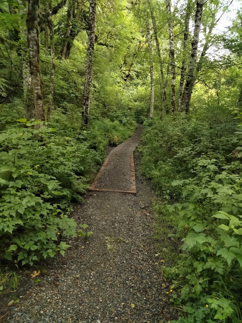 Clarks Creek Off-Leash Dog Park - Puyallup, WA