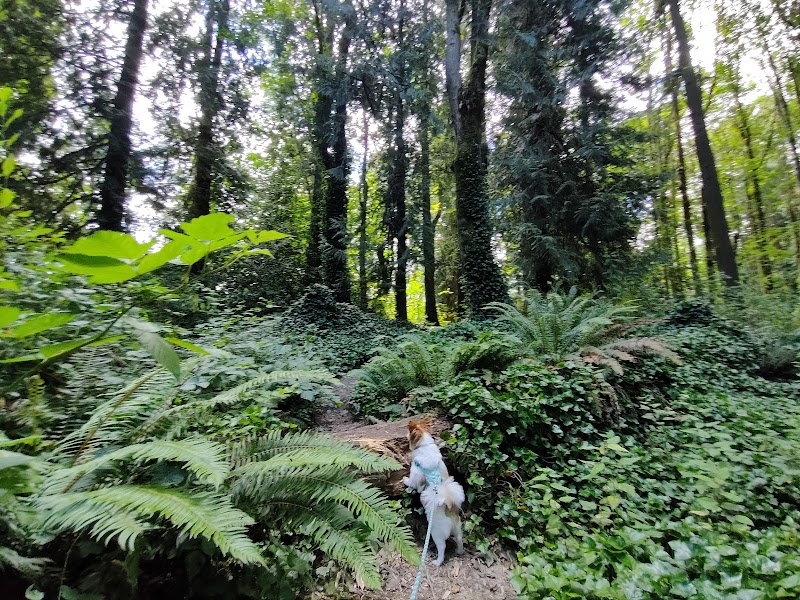 Clarks Creek Off-Leash Dog Park - Puyallup, WA