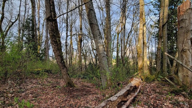 Clarks Creek Off-Leash Dog Park - Puyallup, WA