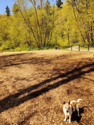 Clarks Creek Off-Leash Dog Park - Puyallup, WA