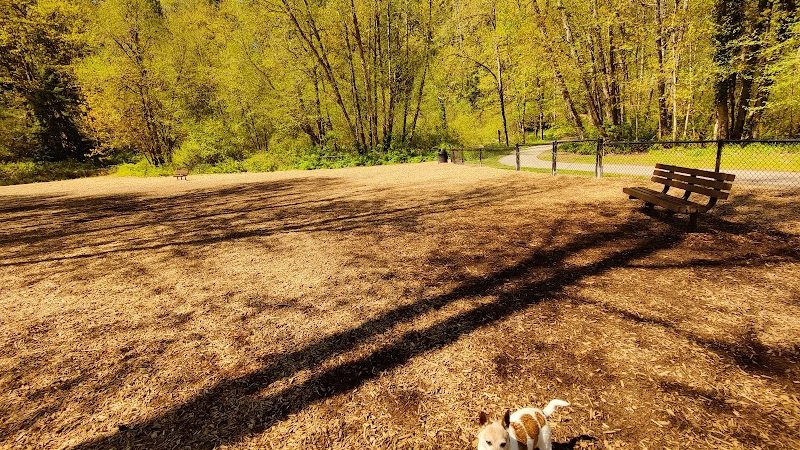 Clarks Creek Off-Leash Dog Park - Puyallup, WA