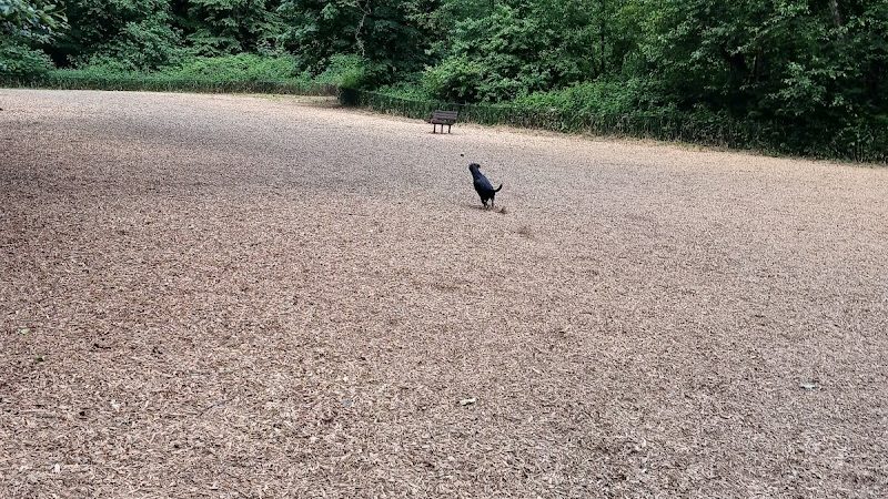 Clarks Creek Off-Leash Dog Park - Puyallup, WA