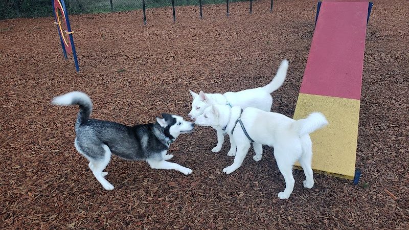 Rainier Woods Off-Leash Dog Park - Puyallup, WA