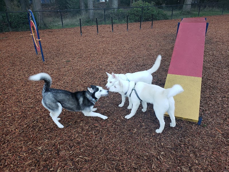 Rainier Woods Off-Leash Dog Park - Puyallup, WA