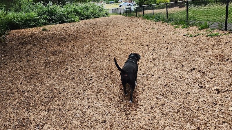 Rainier Woods Off-Leash Dog Park - Puyallup, WA